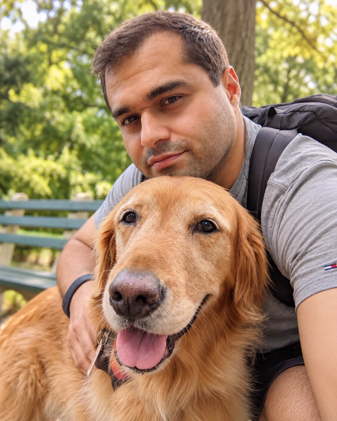 Senator, a golden retriever, sitting on a park bench beside a person, with green trees in the background.